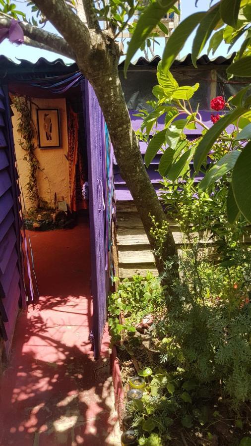 קאבו פולוניו Ajo Aloha Hostel מראה חיצוני תמונה